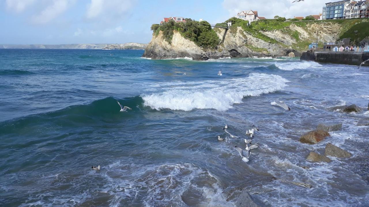 Blue Room Hostel Newquay New Quay Buitenkant foto