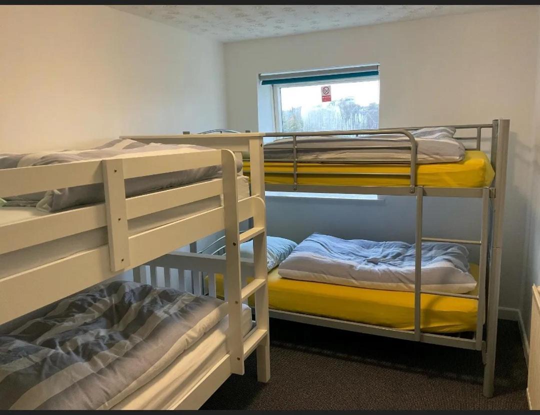 Blue Room Hostel Newquay New Quay Buitenkant foto