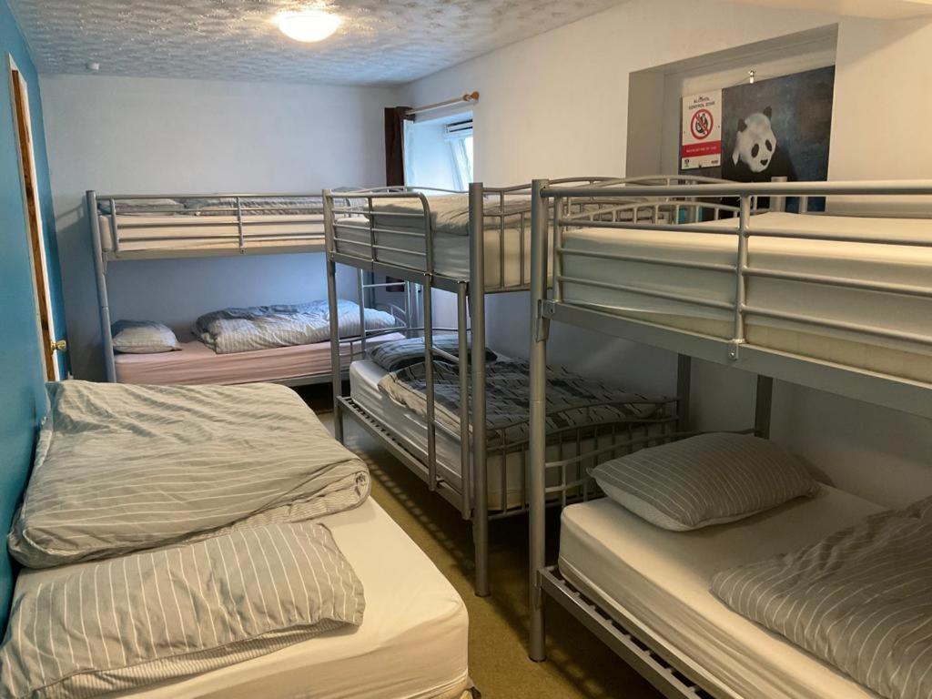 Blue Room Hostel Newquay New Quay Buitenkant foto